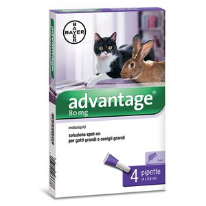 ADVANTAGE SPOT ON 80 ANTIPARASSITARIO GATTI CONIGLI OLTRE 4 KG BAYER