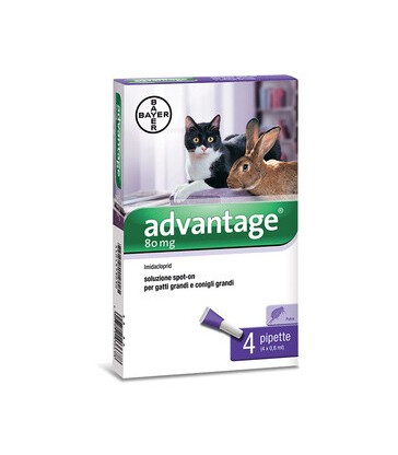 ADVANTAGE SPOT ON 80 ANTIPARASSITARIO GATTI CONIGLI OLTRE 4 KG BAYER