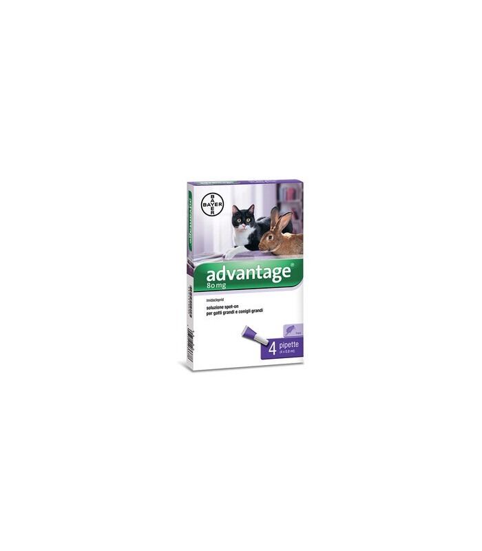 ADVANTAGE SPOT ON 80 ANTIPARASSITARIO GATTI CONIGLI OLTRE 4 KG BAYER